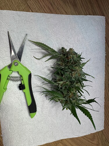 Growreport Bild 14