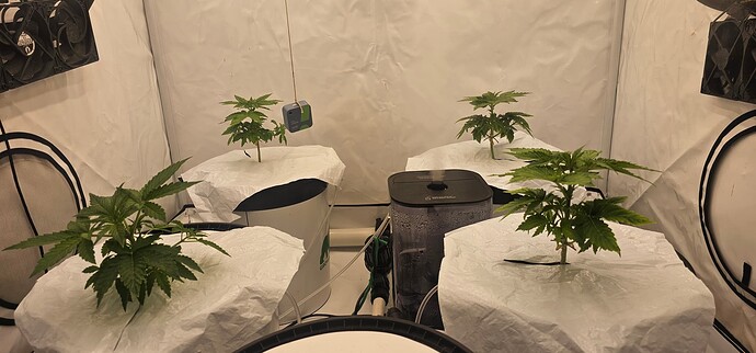 Growreport Bild 28