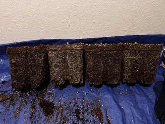 Growreport Bild 5
