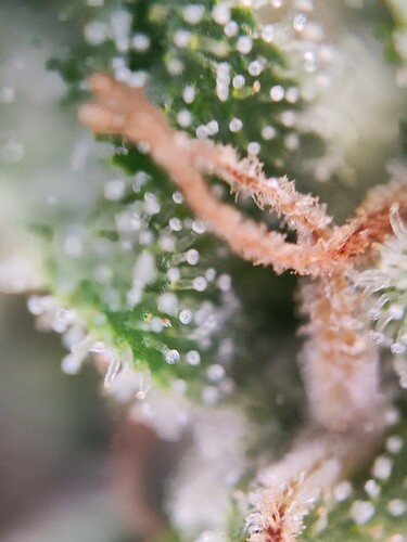 Growreport Bild 13