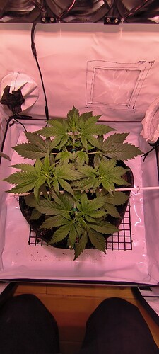 Growreport Bild 8