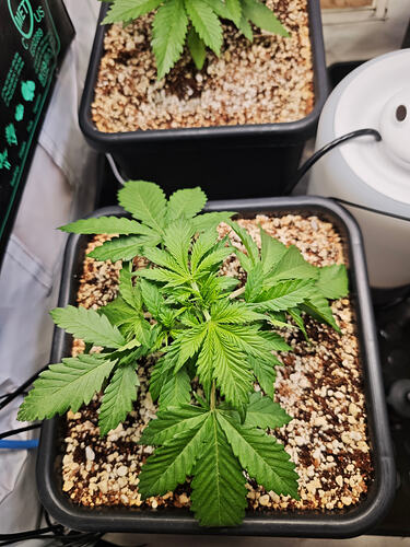 Growreport Bild 23