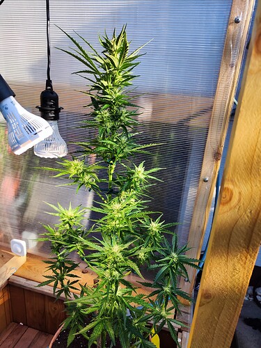 Growreport Bild 7
