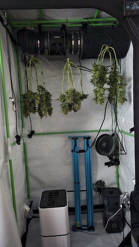 Growreport Bild 18