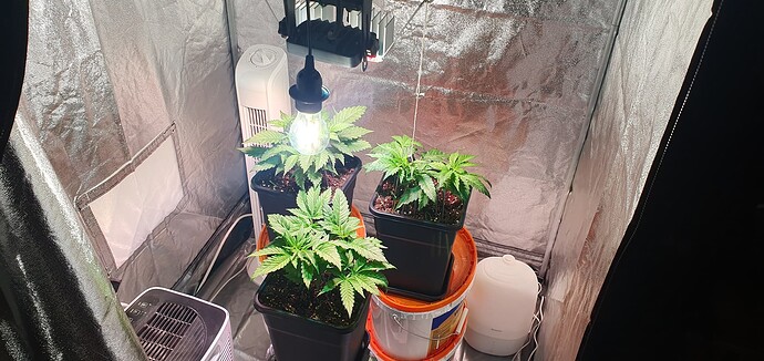 Growreport Bild 1
