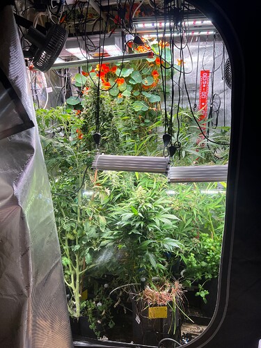 Growreport Bild 6