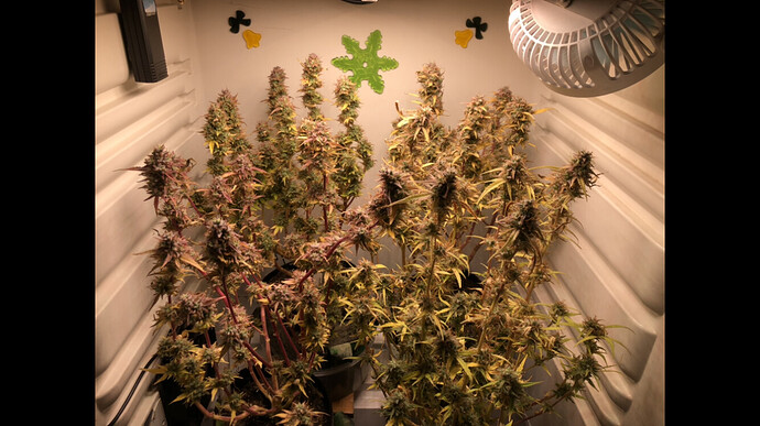Growreport Bild 5