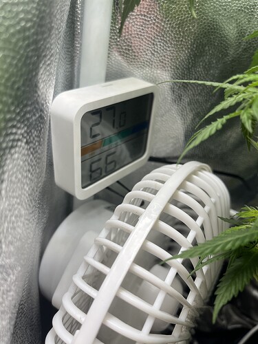 Growreport Bild 14