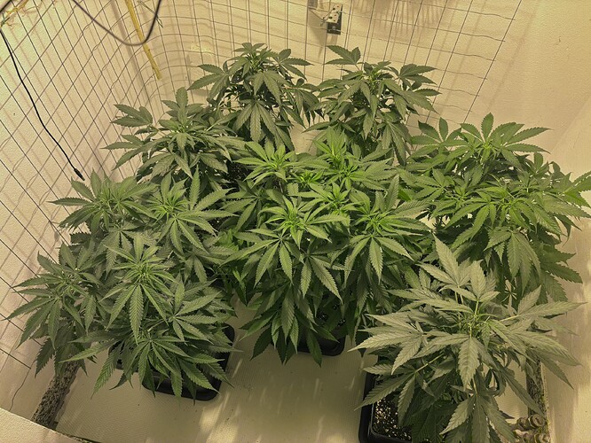 Growreport Bild 10