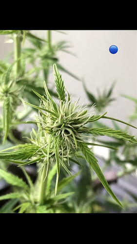 Growreport Bild 28