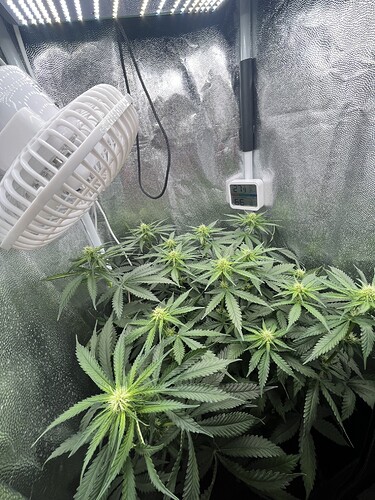 Growreport Bild 17