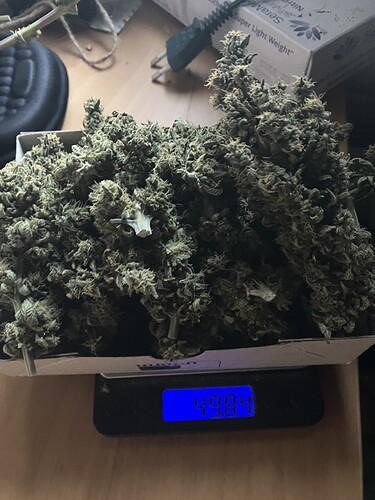Growreport Bild 9