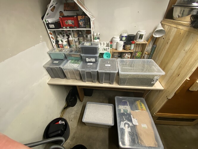 Growreport Bild 2
