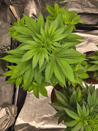 Growreport Bild 9