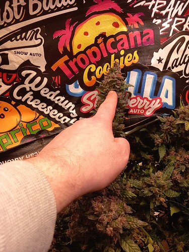 Growreport Bild 2