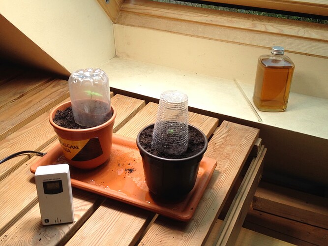 Growreport Bild 4