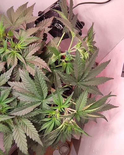 Growreport Bild 11