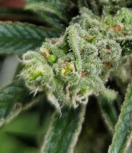 65adb48d-0e77-43b9-b4fc-84bf8dca0063