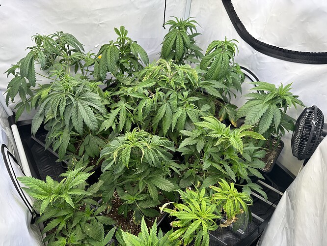 Growreport Bild 2