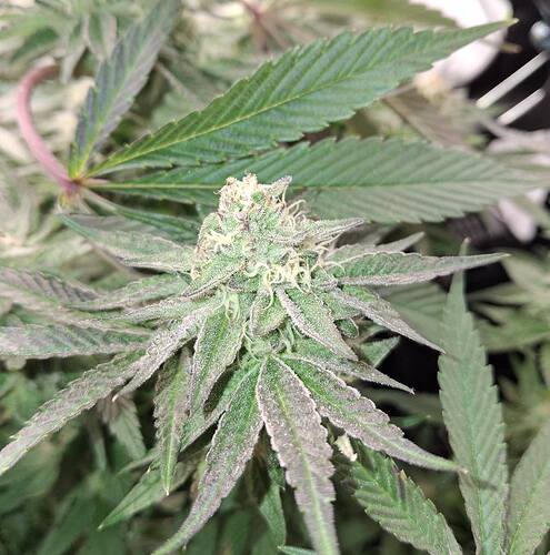 476796948_122167526810293599_520788249662381844_n