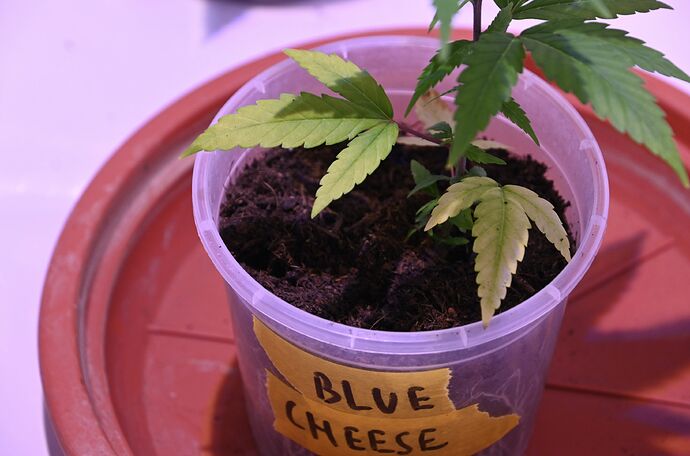 Bildschirmfoto 2025-01-05 um 16.50.45