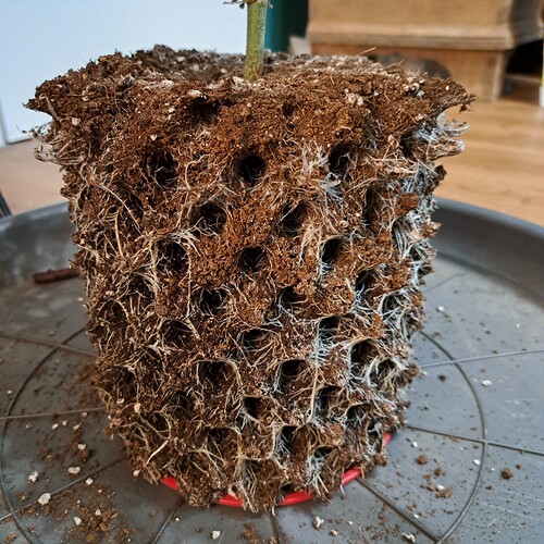 Growreport Bild 9