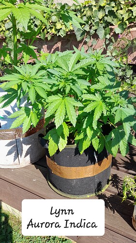 Growreport Bild 11