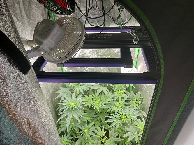Growreport Bild 22