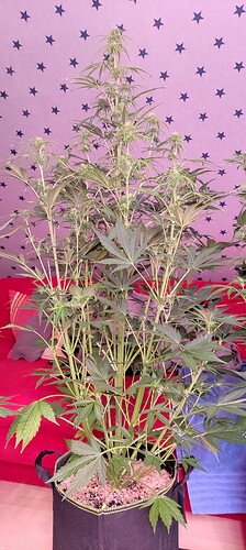 Growreport Bild 23