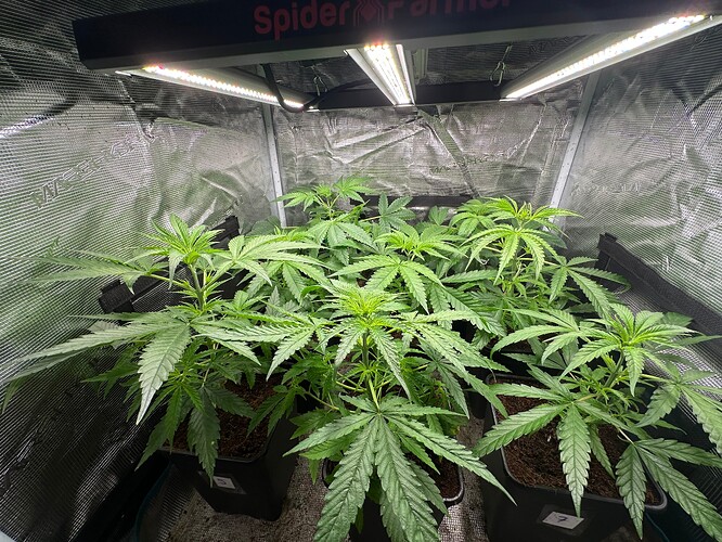 Growreport Bild 11