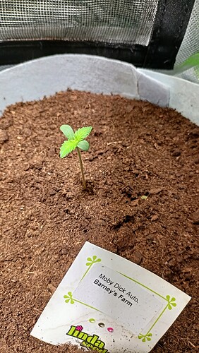Growreport Bild 30