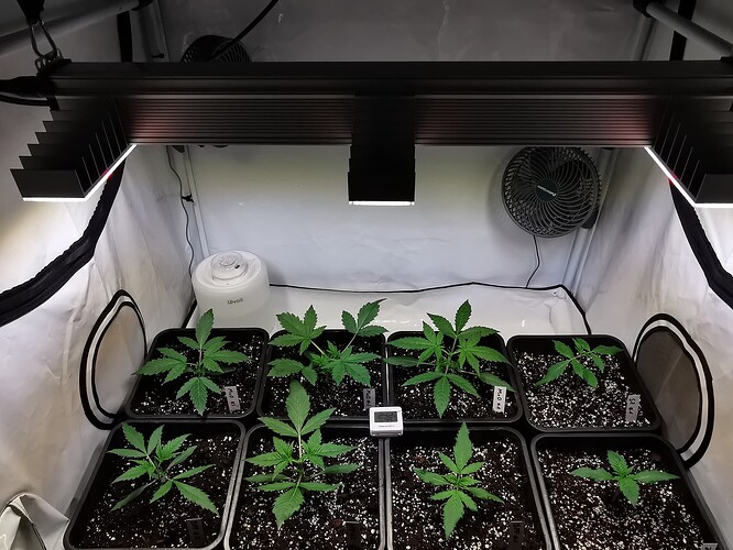 Growreport Bild 12