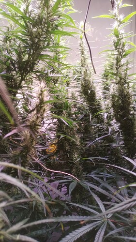 Growreport Bild 10