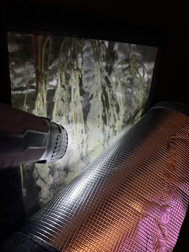 Blick durch ein Sichtfenster eines Grow-Zeltes mit einer Taschenlampe, im Hintergrund sind Cannabis-Pflanzen in der Blütephase zu erkennen.