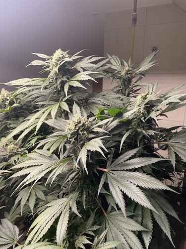 Growreport Bild 16