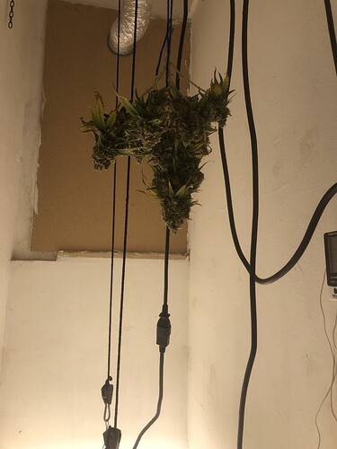 Growreport Bild 4