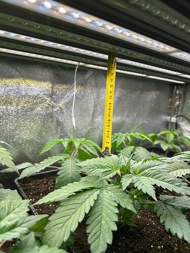 Growreport Bild 16