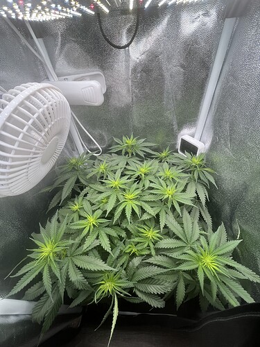Growreport Bild 14
