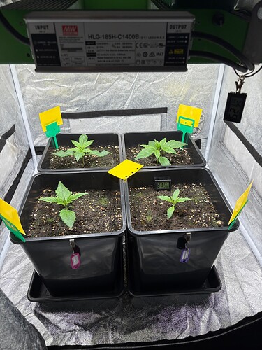 Foto 05.12.24, 17 44 58