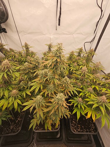 Growreport Bild 17