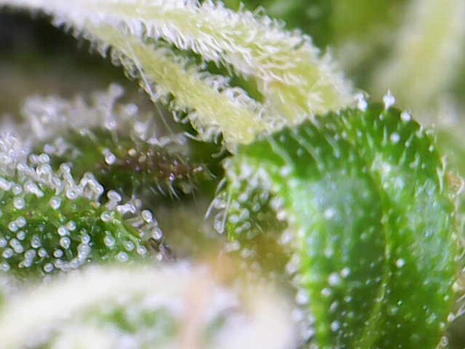 Photo_2024-06-09 10_46_20_633