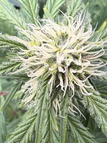 Growreport Bild 9