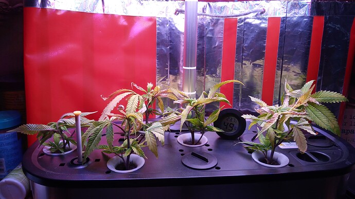Growreport Bild 3
