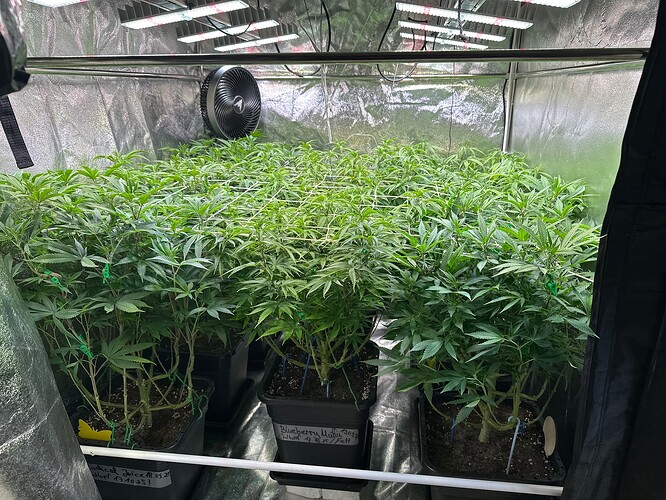 Growreport Bild 11