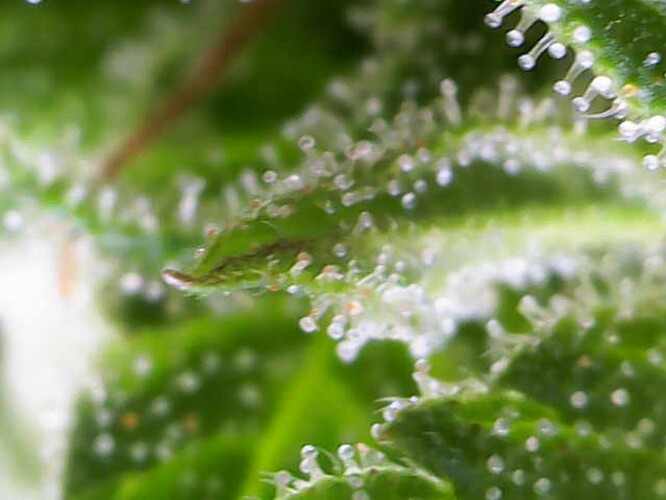 Growreport Bild 48