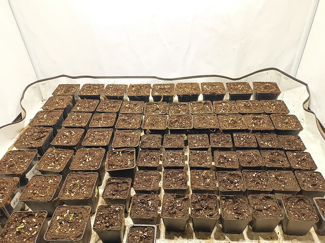 Growreport Bild 16