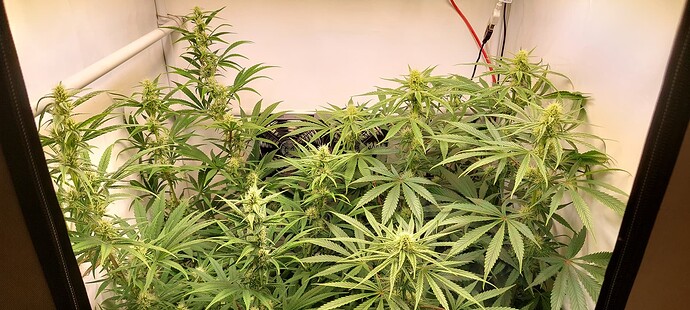 Growreport Bild 2