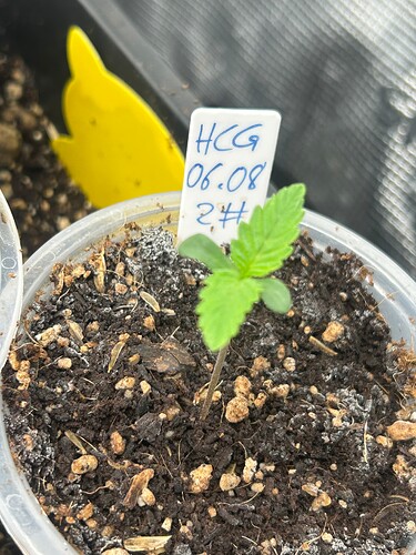 Growreport Bild 25