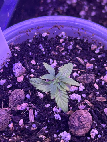 Growreport Bild 15