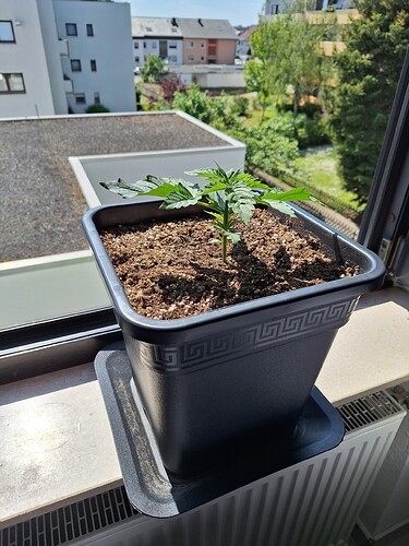 Growreport Bild 14